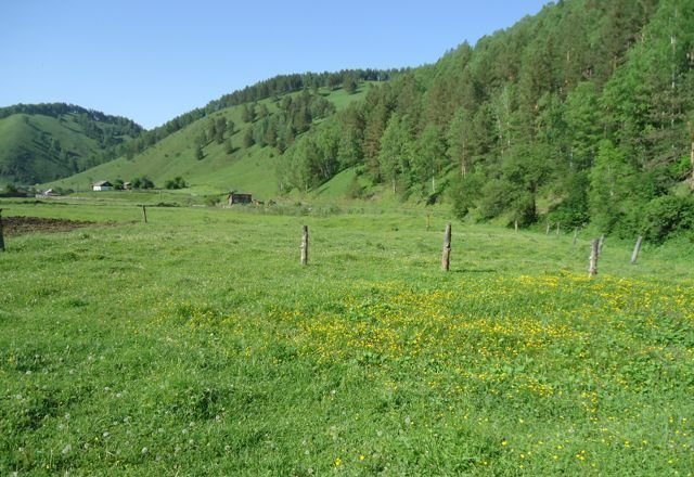 Село Бирюля Республика Алтай.