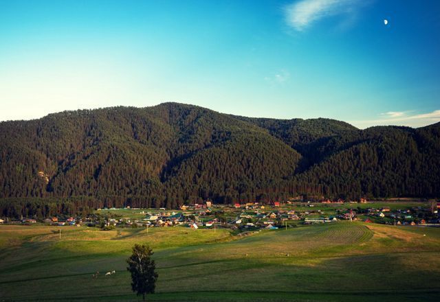 Погода в камлаке. Камлак горный Алтай. Село Камлак Республика Алтай. Село калмак горный Алтай.